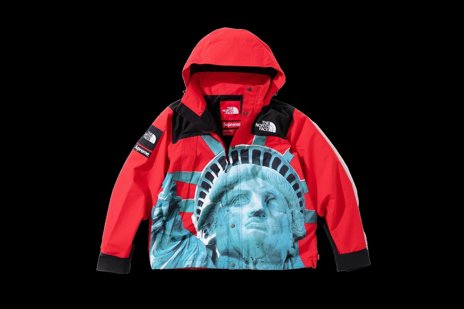 Supreme®/The North Face® Statue of Liberty Mountain Jacket view 18